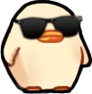 duckcool