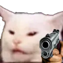 Catto_gun