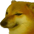 dogbonk