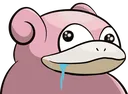 Slowpokederp Slowpokederp