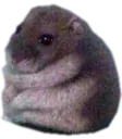chubbyboude