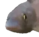 GutturalScreaming