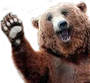 HappyHeyBAER