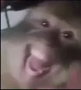 Rafele