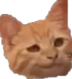 Smug