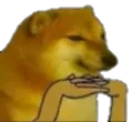 doghmm doghmm