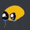 cri_bug