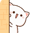 dont