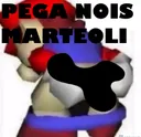 Pega_Nois