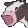 moooo