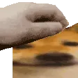 ellogood