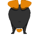 CP_spinfast