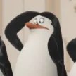 Kowalski07