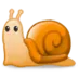 snail