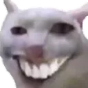 pepsodent