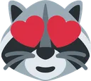 raccoonhearteyes raccoonhearteyes