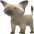 SCwtfisthis SCwtfisthis