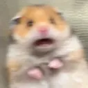 ScaredHam