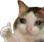 be_OkCrying be_OkCrying