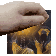 GifAsyaPat Discord emoji