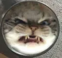 ANGERY