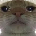 AAO_Billa_Cry