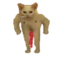 Flex