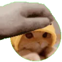 4921nyderpetpet