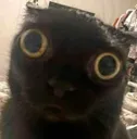 O_O