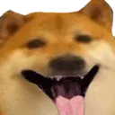 ellolaughing