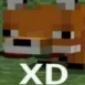 XD