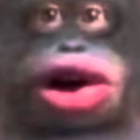 StickMonkE Discord emoji