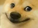 HappyDoge