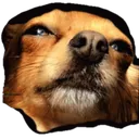 Suspect suspect Discord Emoji