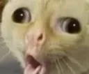 bjork