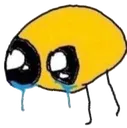 cry