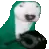 BongDoggo BongDoggo