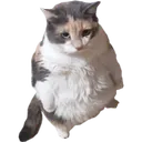 7dsp_catstand