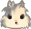 Abuncheeky