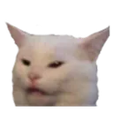 qs_confusedcat Discord Emoji