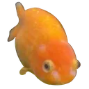 Goob