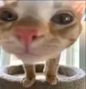 howdidhe