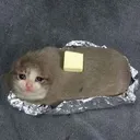 buttercat