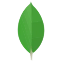 mongoDB
