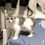 SCcomeatmebro SCcomeatmebro