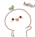 HELLO
