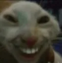 matthews_rat
