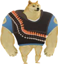 heavyDoge