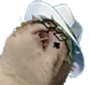 treydone