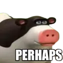 perhaps perhaps